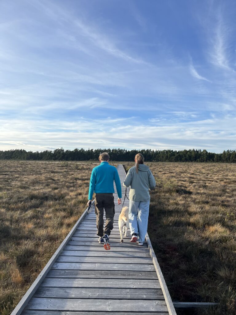Vandring med hund på Svartgölsleden i Store Mosse Nationalpark en tidig vårdag, med minimal grönska och vacker natur.