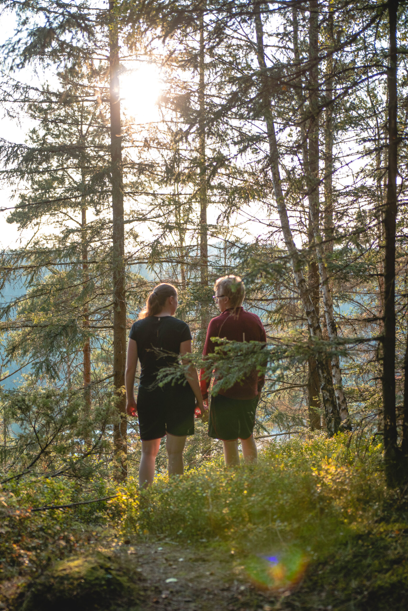 Vänner i blåbärsris i skogen på väg ner från Isabergstoppen där solen strilar genom trädkronorna