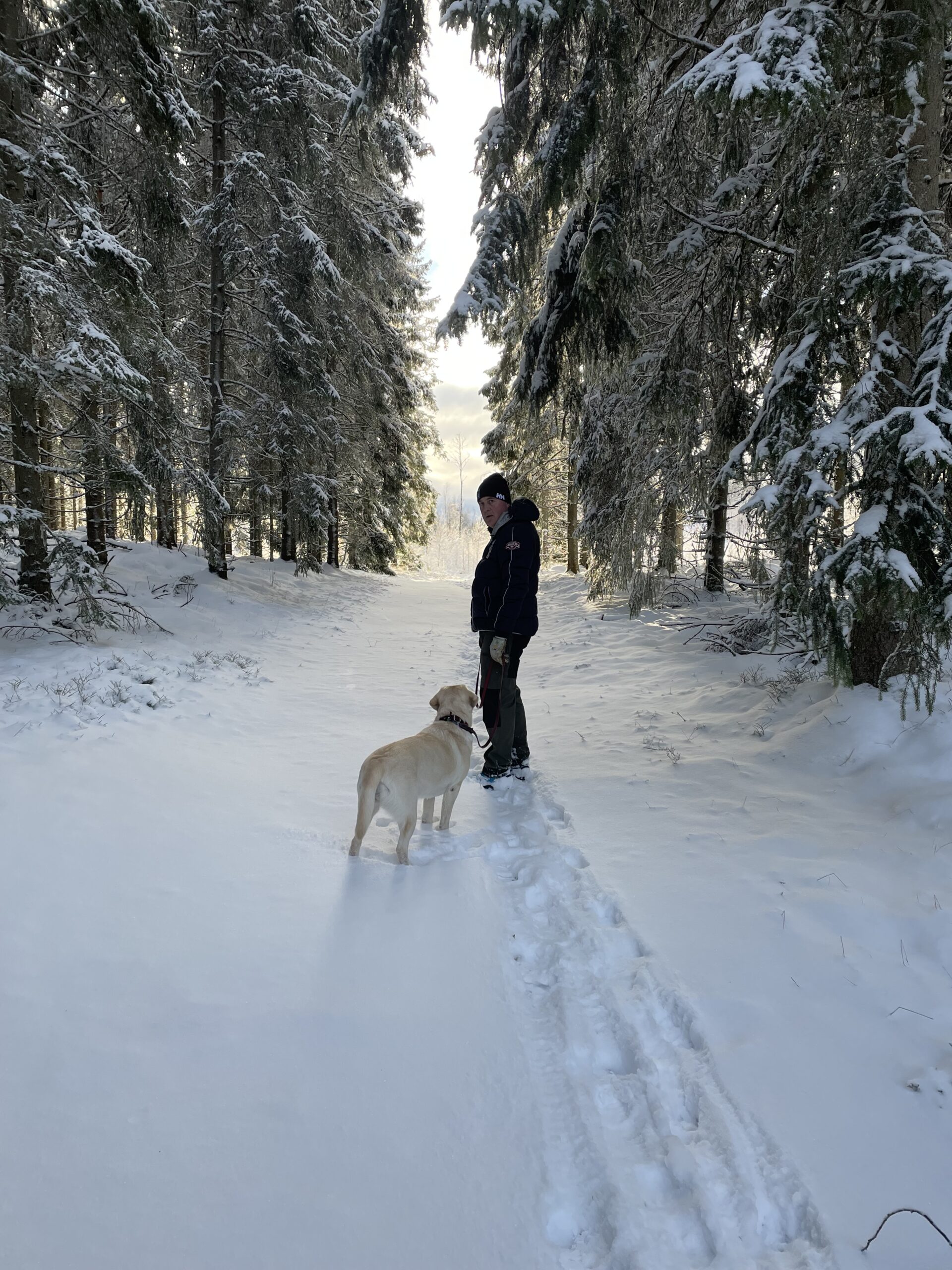 Man med hund i skogarna kring Isaberg, en kall vinterdag med rimfrost i träden