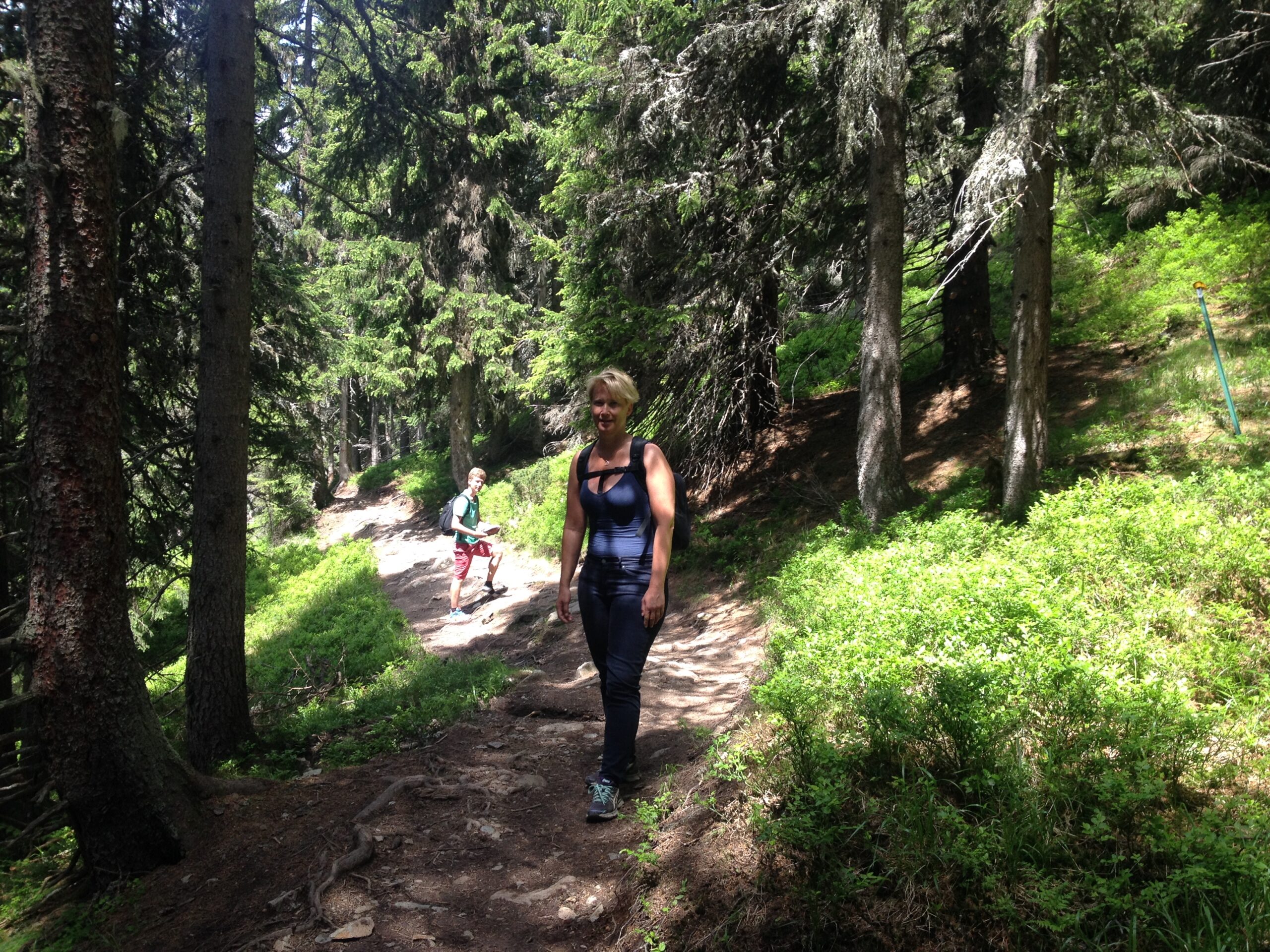 Kvinna och kille i skogen runt Isaberg promenerandes på vandringsled med blåbärsris runt omkring sig och granar i sluttning