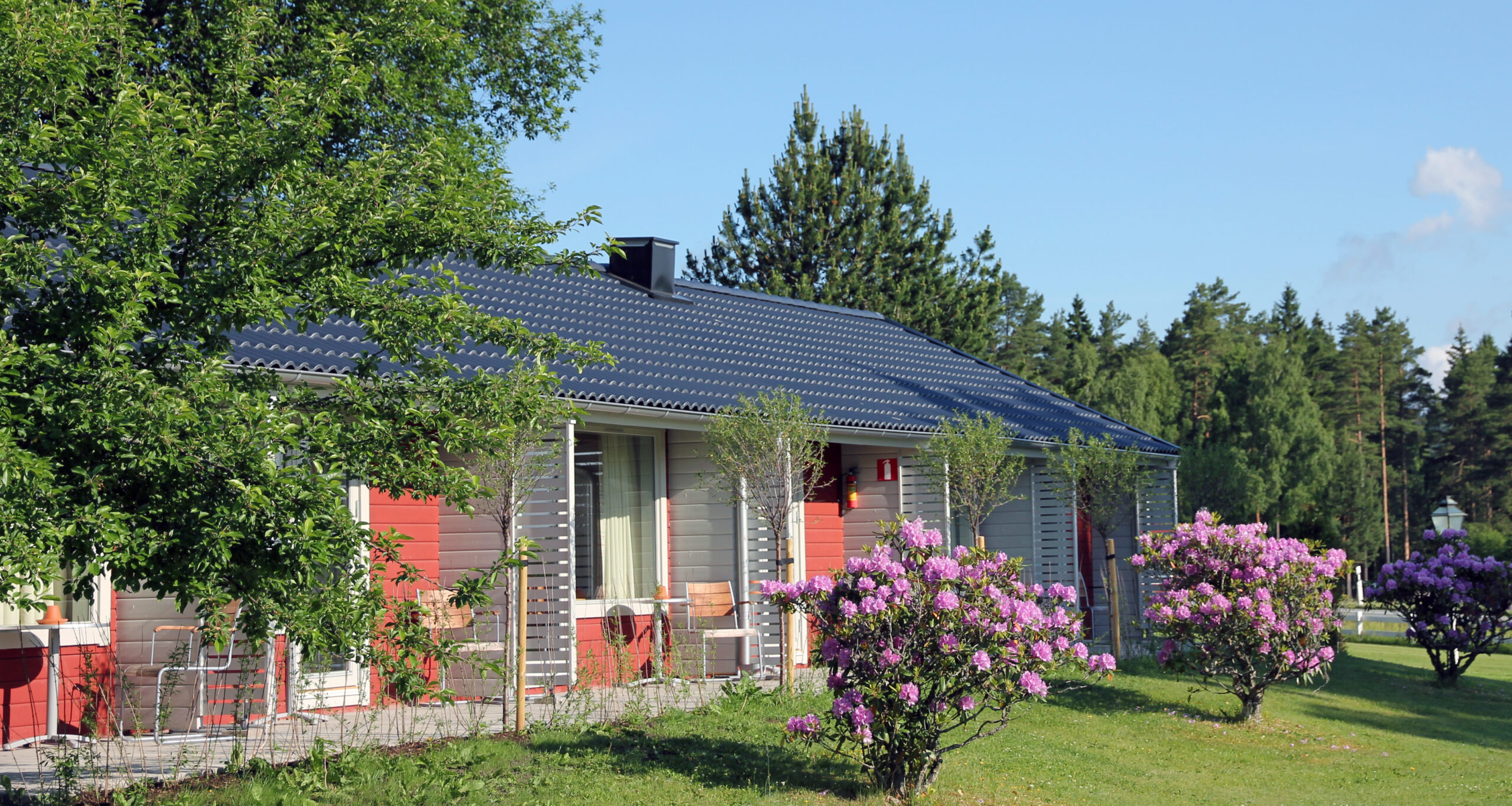 uteplatserna till hotellrummen i villa 3 med blommande rododendron i förgrunden på Hestraviken hotell och spa vid Isaberg i Småland