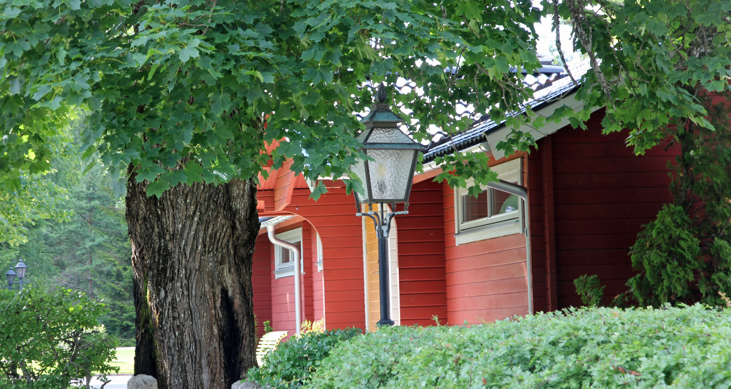 Extiör från entrésidan hotellvilla 1 med en av de stora lönnarna i förgrunden på Hestraviken hotell och spa vid Isaberg i Småland
