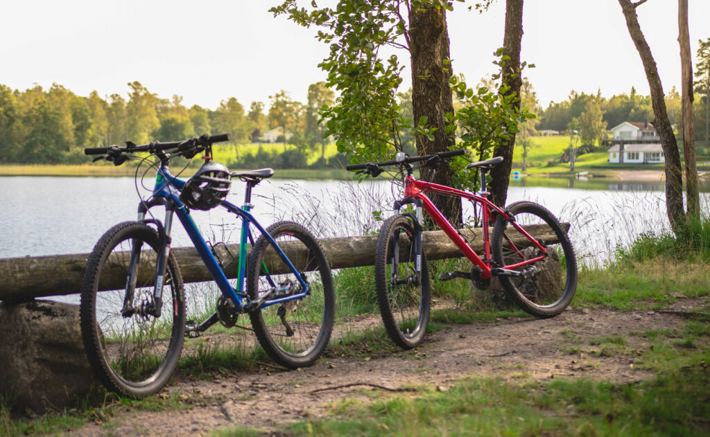 Två mountainbikes lutandes mot liggande träd vid sjön