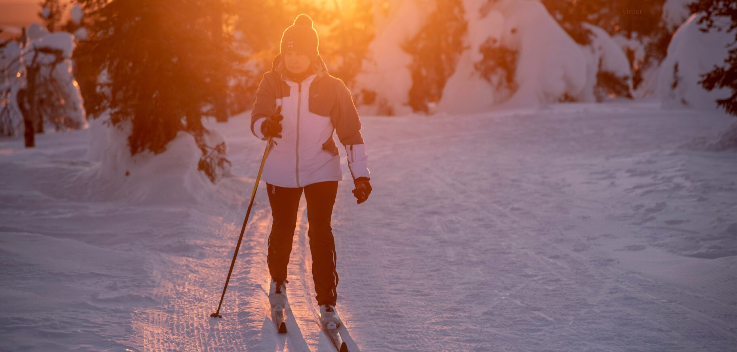 Kvinna i längdspår i närheten av Hestraviken, solen är på väg ner och i bakgrunden snötyngda granar