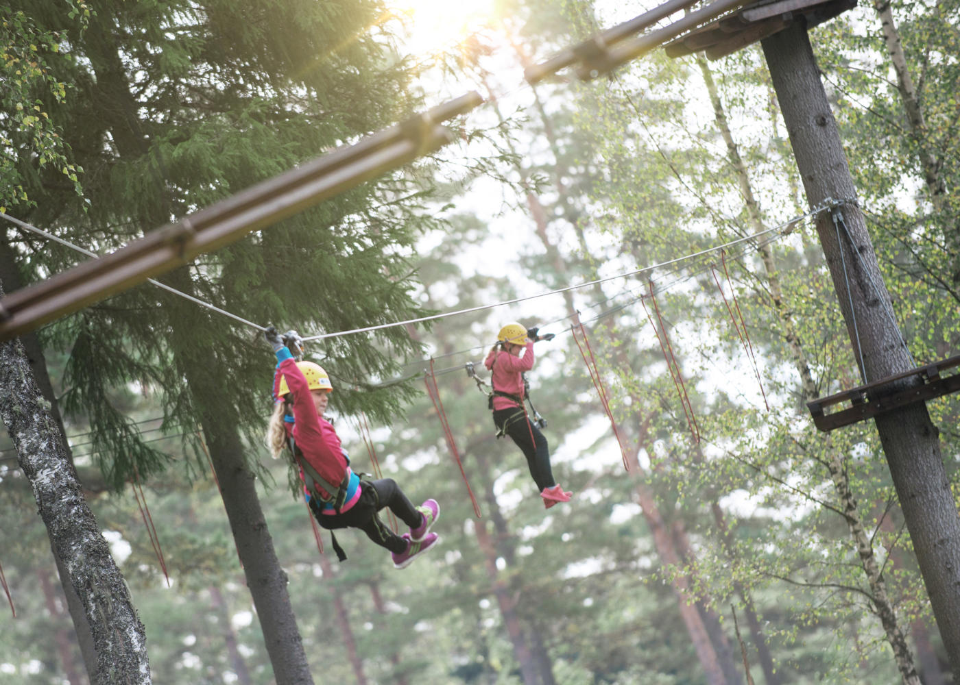 Två barn tar sig fram högt uppe i träden på Isabergs Tree Top Adventure, nära Hestraviken. En spännande familjeupplevelse med klättring och linbanor i den vackra Småländska naturen.