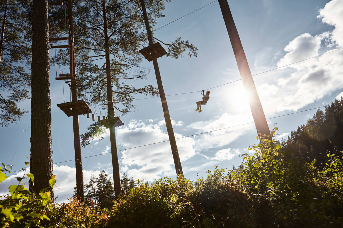 Man uppe bland träden i Tree Top Adventure på Isaberg. Nervkittlande aktivitet nära Hestraviken