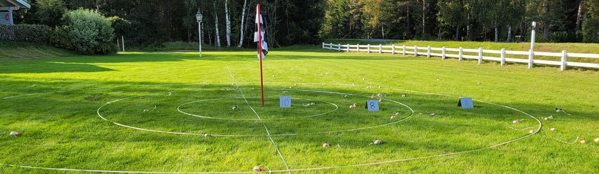 Resultat tavla på gräsyta på Hestraviken, deltagare har byggt varsin katapult och slungat iväg klot i ringar med olika poäng samt en flagga i mitten som ger högst poäng